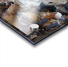 DSC02236 Acrylic print