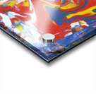 P1090807 Acrylic print