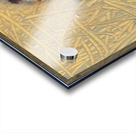 a wish Acrylic print