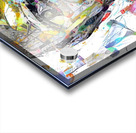 img7219792 dabae1ec70481740 Acrylic print