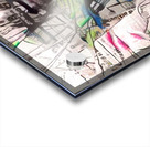 img7220836 42fdcb1e4a2cd894 Acrylic print