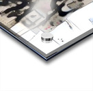 Urban Glyph Acrylic print