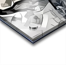 img7431695 cf80b2b0ce87f569.v1 Acrylic print