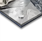 img7431697 890ffca8660ad0bd.v1 Acrylic print