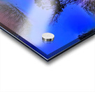 img7429167 bc1a5570535542a9.v1 Acrylic print