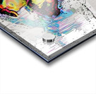 img7425279 3b0d2b7fec3d62b4.v1 Acrylic print