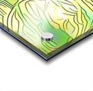 img7431688 4cc34ccdefa6a6f3.v1 Acrylic print