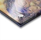 img7431644 7c509ac47b22681d.v1 Acrylic print