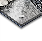 img7430851 66ca7883d7e960bb.v1 Acrylic print