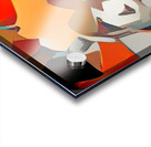 img7424232 f2bd7ab1b7d84ca5.v3 Acrylic print