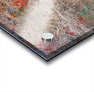 S8301140.1 Acrylic print