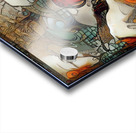 The Silent Ascent Acrylic print