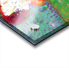 the walk Acrylic print