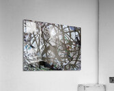 Chronicle Acrylic Print