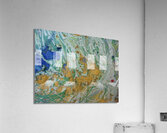 DSC02225 Acrylic Print