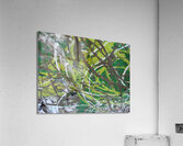 Earthy streaks Acrylic Print