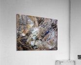 DSC02236 Acrylic Print