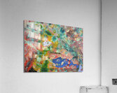 Cosmic Bloom – A Collision of Colors Acrylic Print