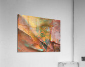 Patina Flora Acrylic Print