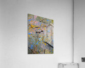 Constructed Debris Acrylic Print