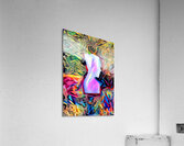 the digital pass Acrylic Print