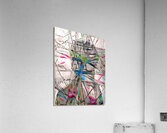 img7220836 42fdcb1e4a2cd894 Acrylic Print