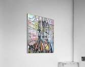 img7220843 5fd3b28a2dbf0a97 Acrylic Print