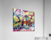 img7222738 1cfef5e3ebfd58a4 Acrylic Print