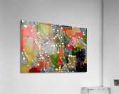 img7430066 e0159a7b6001ca85.v1 Acrylic Print