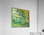 S8301109.1 Acrylic Print