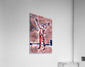 img7430876 8aa8336123884652.v1 Acrylic Print