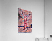 img7430891 8291f8735c572848.v1 Acrylic Print