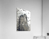 img7415806 ccac23a24d787d36.v1 Acrylic Print