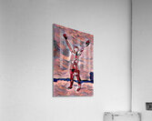 untitled 37 Acrylic Print