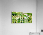 untitled 2 Acrylic Print