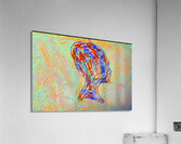 Mindscape Acrylic Print