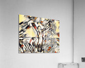 breaking free Acrylic Print