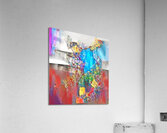 skateboard blues Acrylic Print