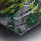 Earthy streaks Metal print