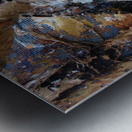 DSC02236 Metal print