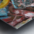 P1090834 Metal print