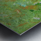 P1090718 Metal print