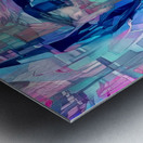 img7219797 94dfd85ad13db905 Metal print