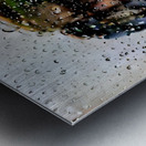 water drop portrait Metal print