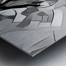 img7431695 cf80b2b0ce87f569.v1 Metal print