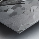 img7431697 890ffca8660ad0bd.v1 Metal print