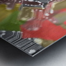 img7430066 e0159a7b6001ca85.v1 Metal print