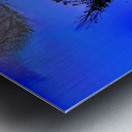 img7429167 bc1a5570535542a9.v1 Metal print