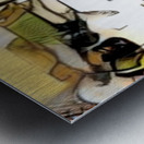 img7422575 5f6b461b472b8083.v1 Metal print