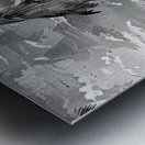 img7431706 ba7b91f2386fbf3c.v1 Metal print